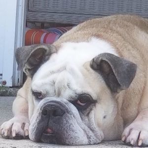 Meet your Posher, Sandra